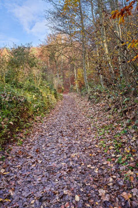 Gemeinde Julbach Landkreis Rottal-Inn Schlossberg Herbst (Dirschl Johann) Deutschland PAN